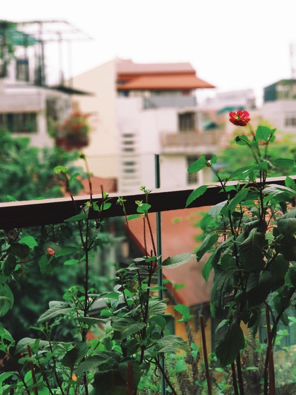 Ali House Apartman Hanoi Kültér fotó